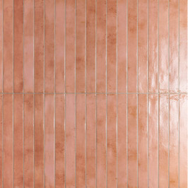 Carreaux muraux en céramique | 4.8x45 cm | Colors Salmon